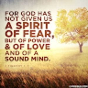 Meet your Posher, Lj